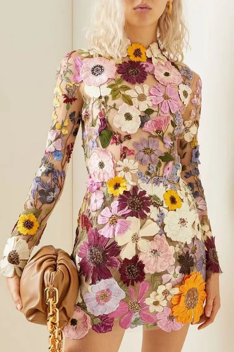 High Neck Long Sleeve Mesh Floral Embroidery Vacation Bodycon Mini Dress