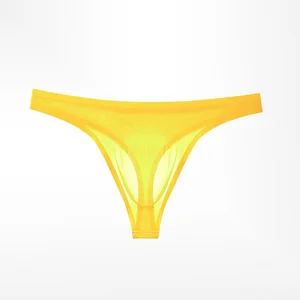 Men's Ultra-Thin Ice Silk Sexy Transparent Thong