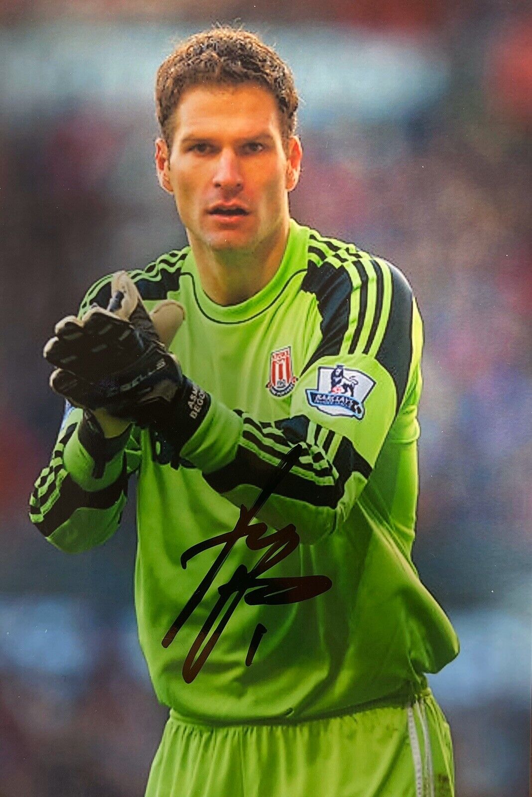 Asmir Begovic Hand Signed 6X4 Photo Poster painting - Stoke City