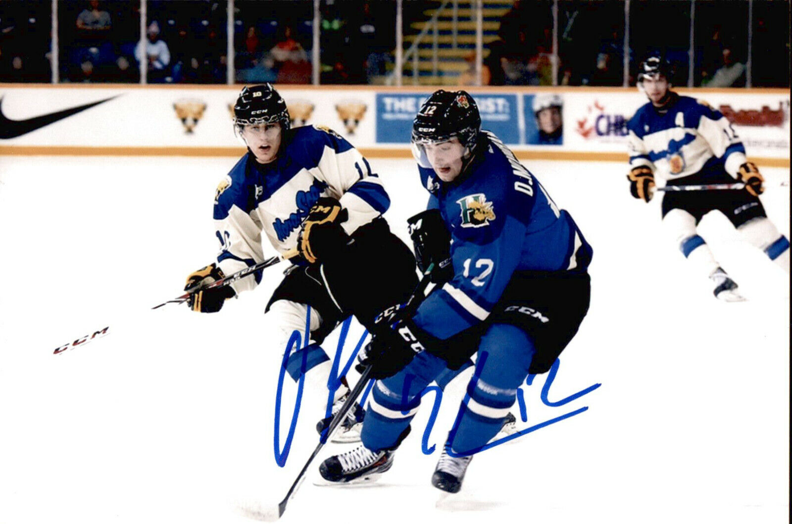 Daniel Danny Moynihan SIGNED 4x6 Photo Poster painting HALIFAX MOOSEHEADS