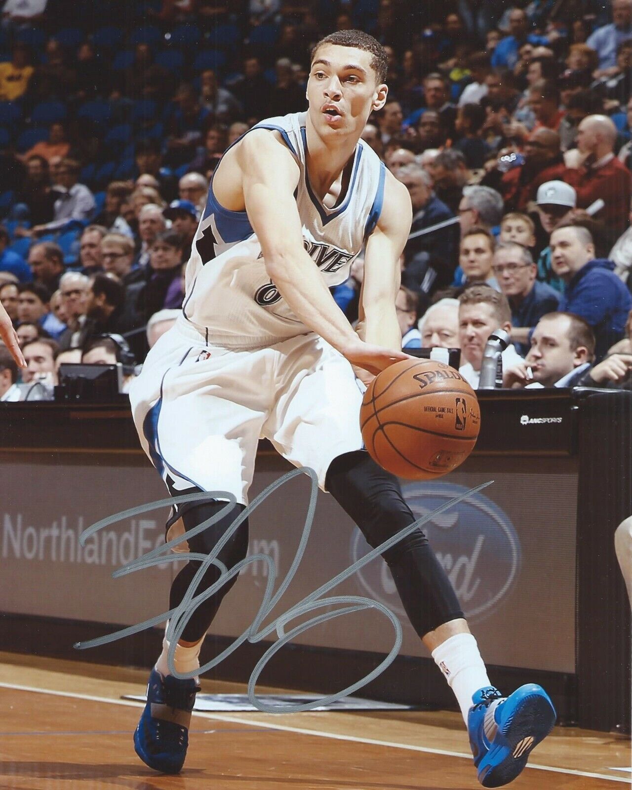 Zach LaVine Signed 8x10 Photo Poster painting Minnesota Timberwolves Autographed COA C