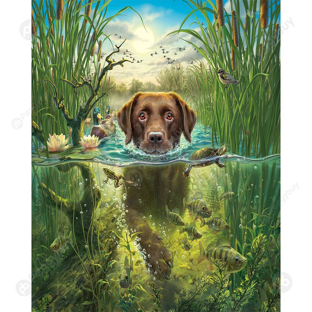 

30*40CM Paint By Numbers-Dog, 501 Original