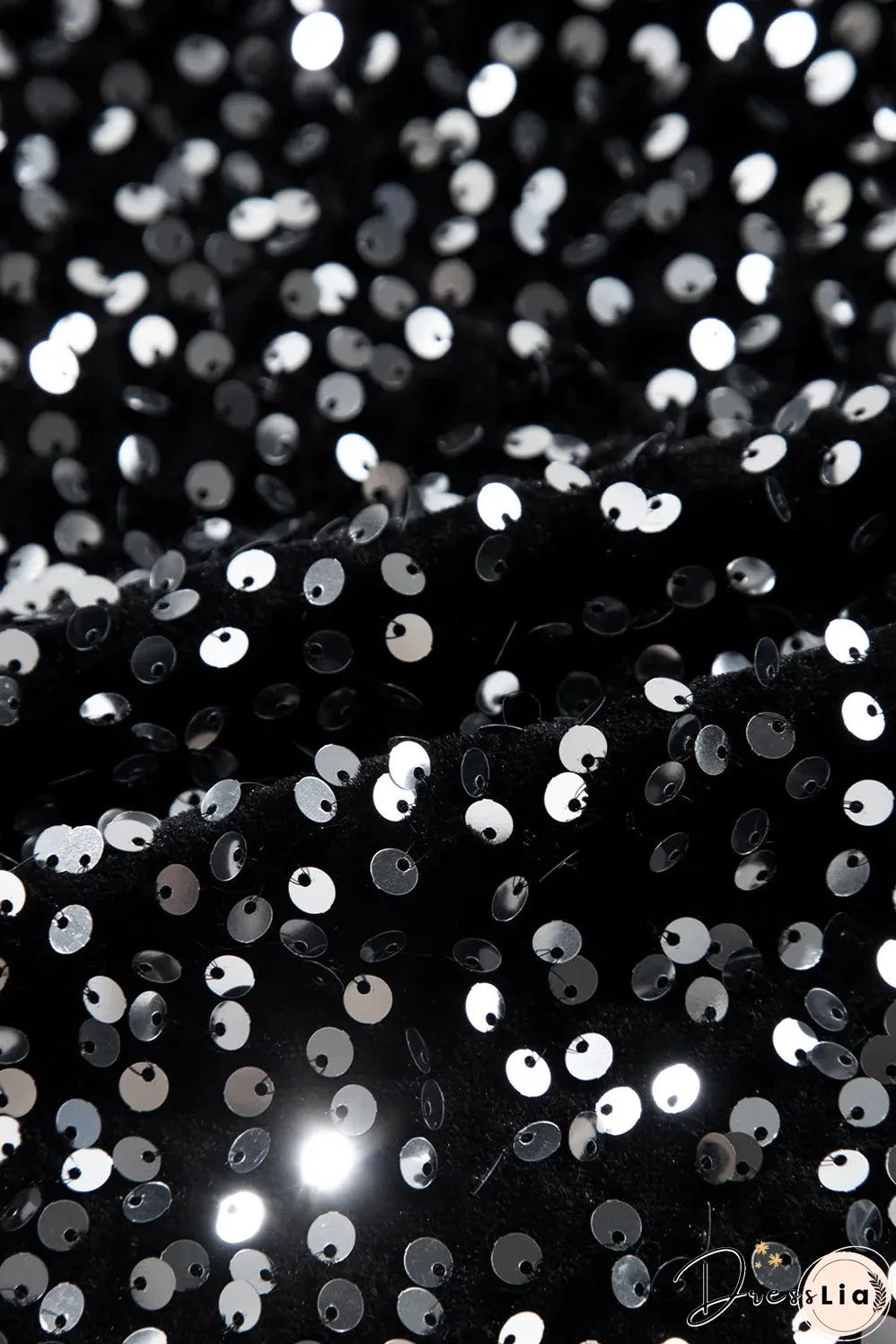 Sequin Round Neck Long Sleeve Top