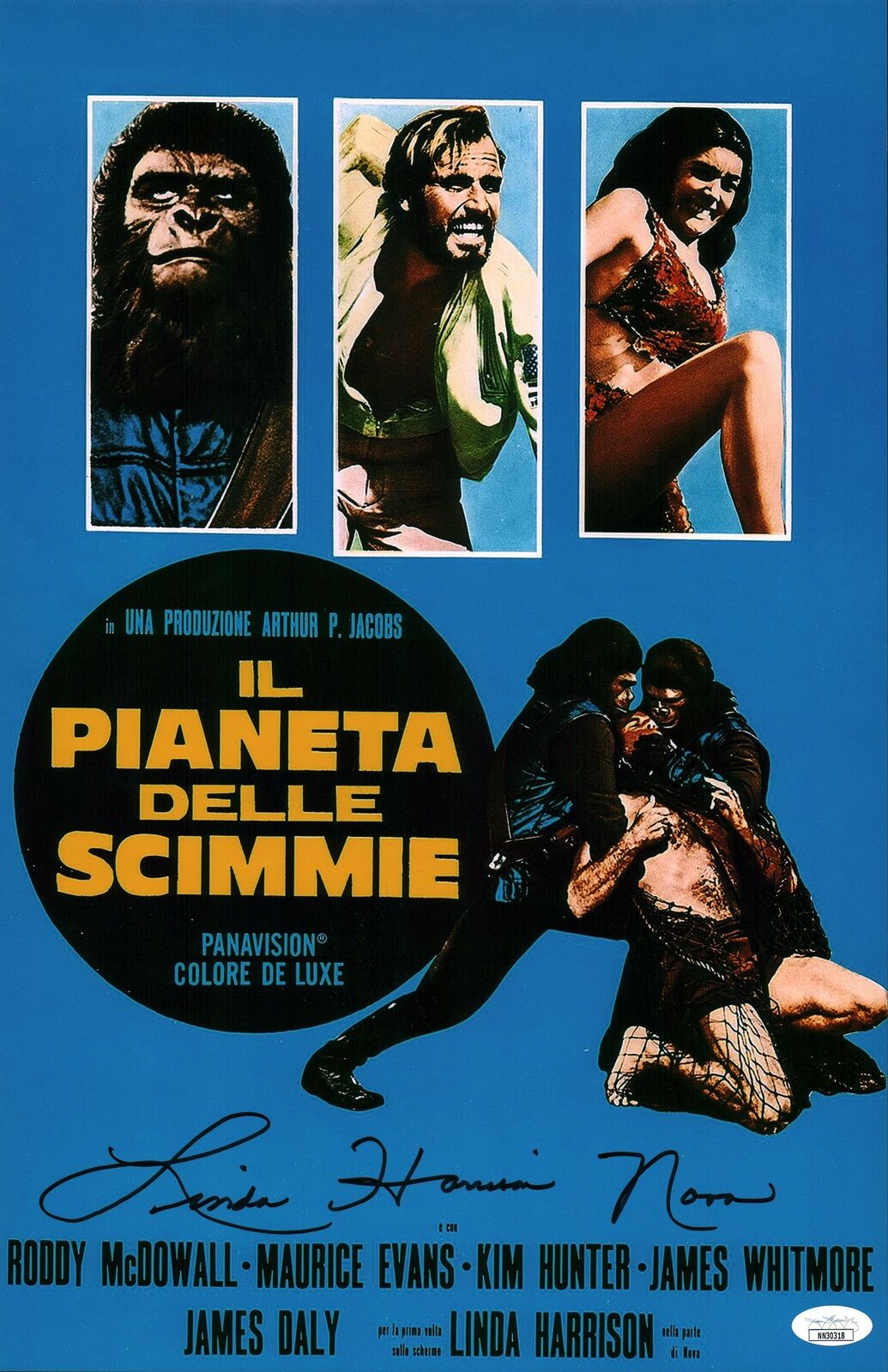 Linda Harrison The Planet of the Apes (Italian) 11x17 Photo Poster painting Poster Signed Autogr