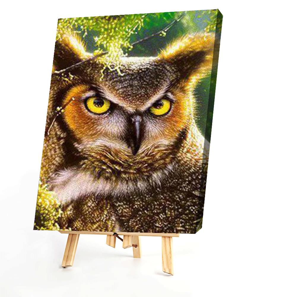 Owl  - Painting By Numbers - 40*50CM gbfke