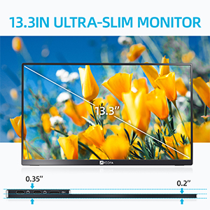 Ultra-slim monitor
