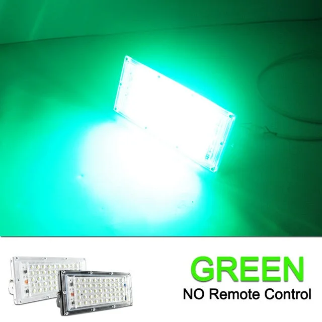 2pcs LED Flood Light 50W RGB Led Floodlight Remote control COB chip LED street Lamp AC  waterproof IP65 outdoor Lighting