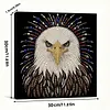 (30x30cm)DIY Eagle Pearl Painting Kit With Inner Frame Home Decor