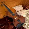 1/32 Wooden Mini Violin with Case, Bow, Bridge, Spare Strings, Shoulder Rest, Rosin and Clip-On Tuners