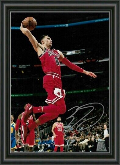 ZACH LAVINE BULLS BASKETBALL Signed A4 Photo Poster painting POSTER - HIGH GLOSS PRINT