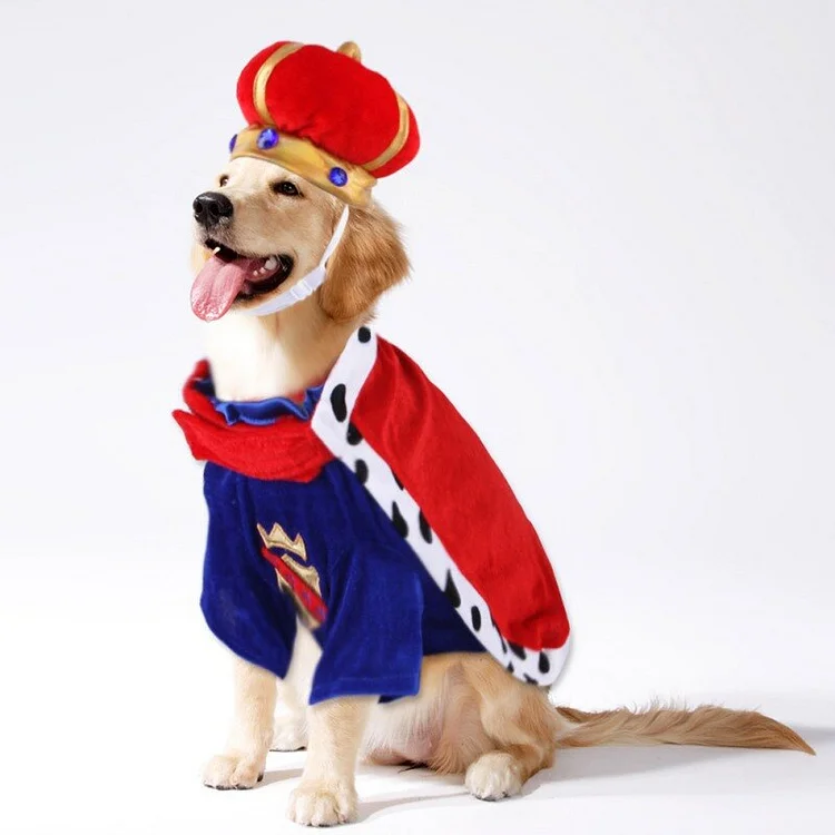 Funny Halloween Cosplay King Costume For Dog-elleschic