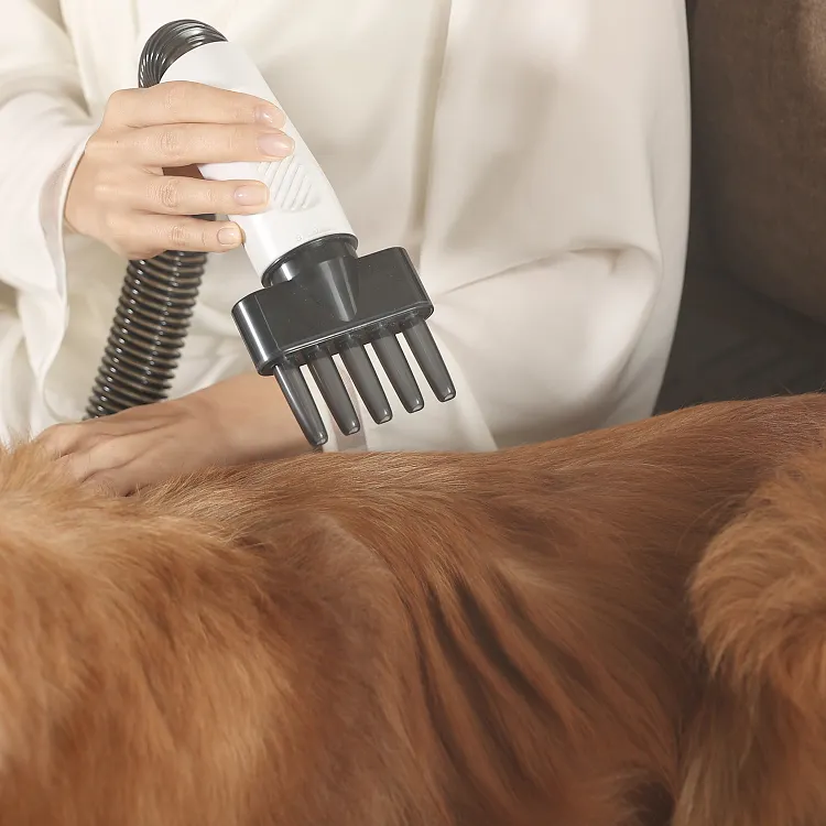 🐶😽PetGrooming Dryer [High-velocity Force Blower]