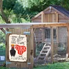 Chickens Warning- Vintage Metal Signs(12*16Inch)