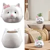 [US Local Warehouse] Cat Ceramic Succulent Pot Bonsai Container Resin with Drain Hole for Home Office
