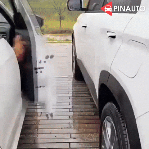 Install Demo GIF