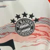 25/26 Bayern Munich Third Away Soccer Jersey