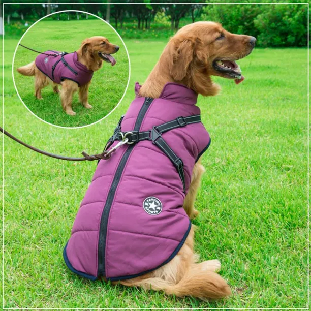 Pawbibi Sport- Waterproof Winter Jacket with Built-in Harness