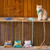 Cat Vest And Belt Kit Pet Traction Rope