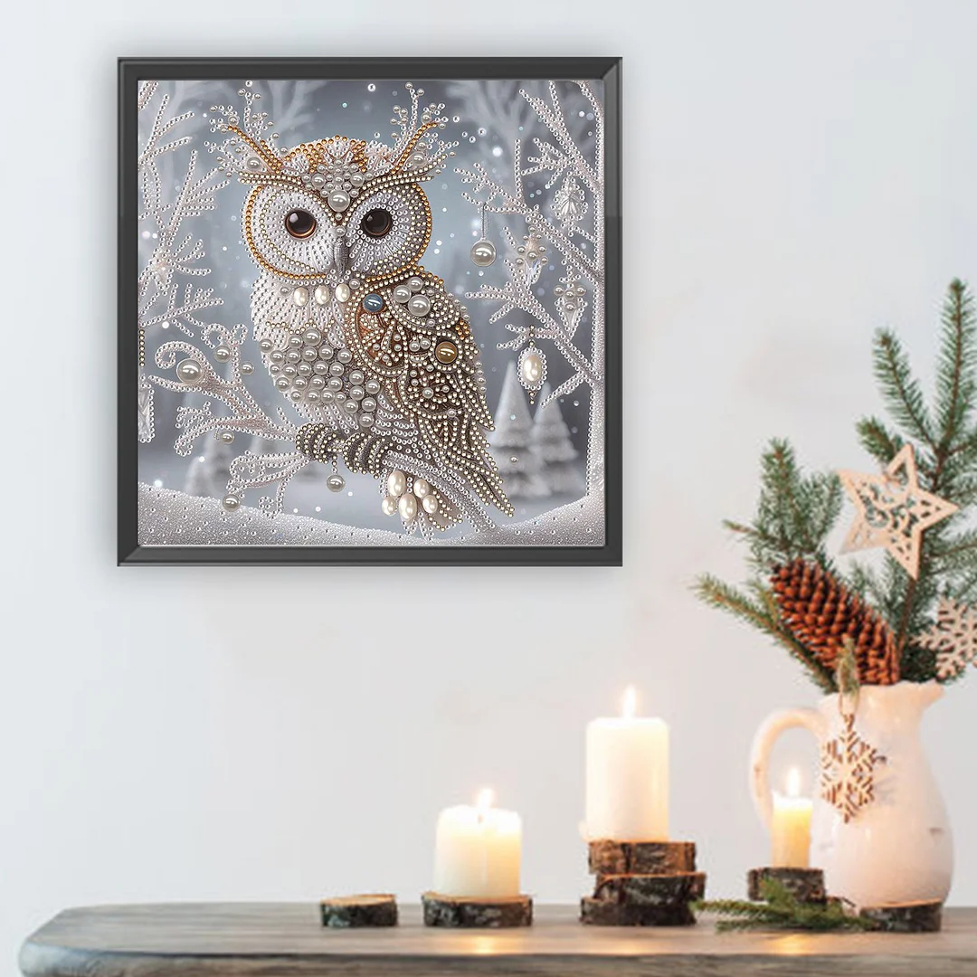 Crystal Owl Special Shaped 5D DIY Partial Drill Diamond Painting Kit Home Art 30x30cm