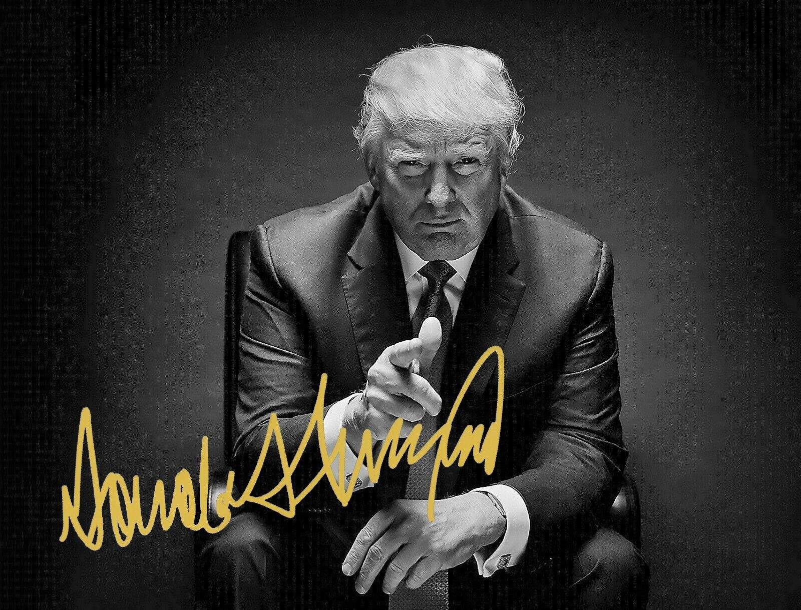 PRESIDENT DONALD TRUMP POINTING OFFICIAL WHITE HOUSE SIGNED 8.5X11 Photo Poster painting REPRINT