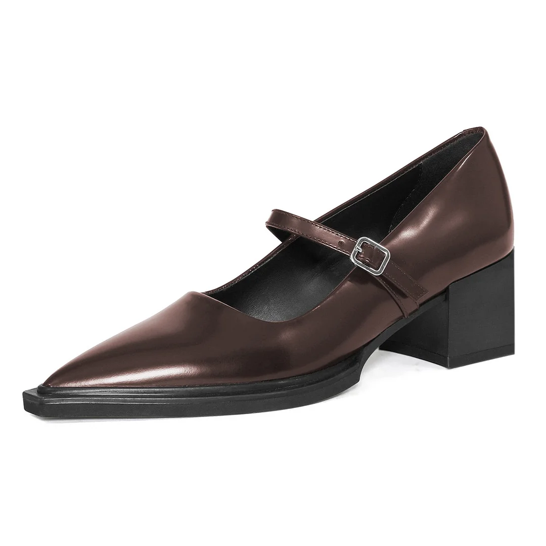 YDN Brown Pointed Toe Buckle Strap Chunky Heel Mary Jane Pumps