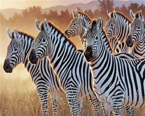 

Clique of Zebra – Paint By Numbers - 40*50CM, 501 Original