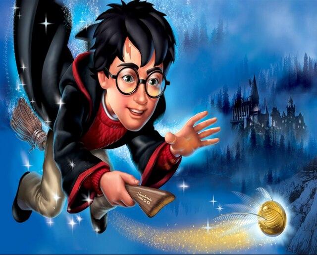 

Harry Potter Flying Broom – Animation Paint By Numbers - 40*50CM, 501 Original