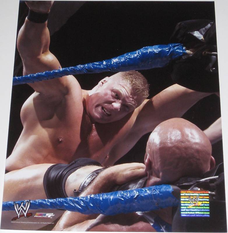 WWE BROCK LESNAR OFFICIAL LICENSED 8X10 Photo Poster paintingFILE Photo Poster painting 1