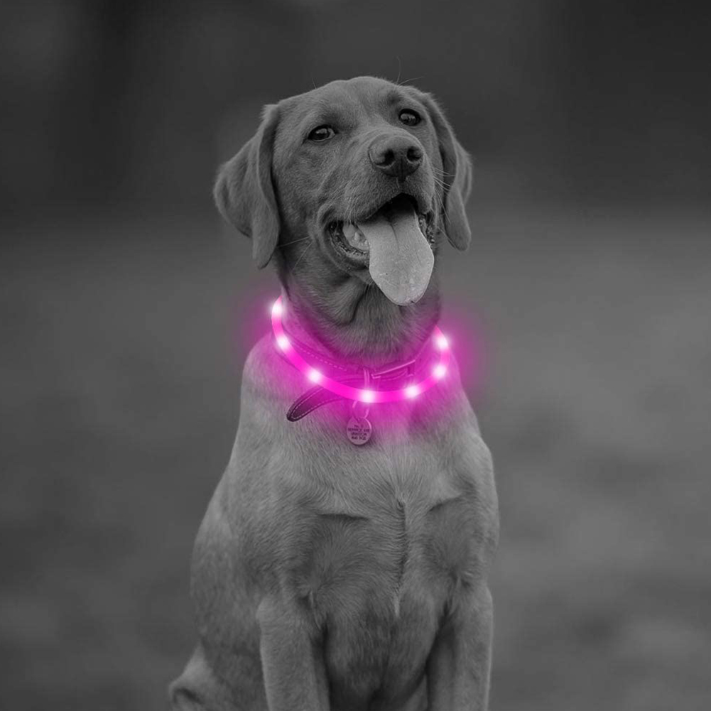 

LED Dog Pendant USB Charging Pet Collar Night Safety, Red, 501 Original