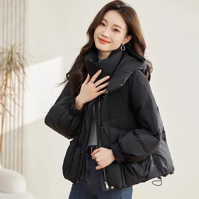 Toloer 2024 New Cotton Clothes Female Winter Short Korean Version Loose And Thick Small Padded Clothes Cotton-Padded Jacket Advanced Sense Coat Tide-Outfit Ideas