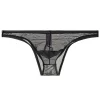 Men's Transparent Ultra-Thin Mesh Low-Waist Sexy Briefs