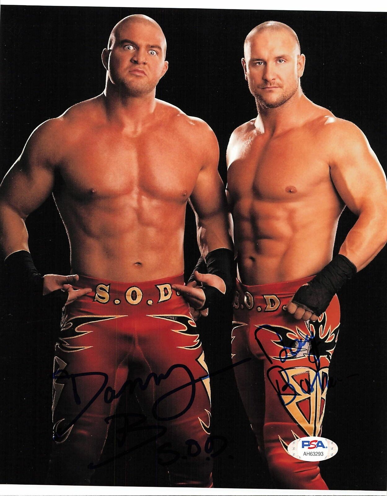 Doug & Danny Basham signed 8x10 Photo Poster painting PSA/DNA COA WWE Autographed Wrestling