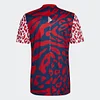 2022 Arsenal Special Joint Name Edition Color Soccer Jersey love fball
