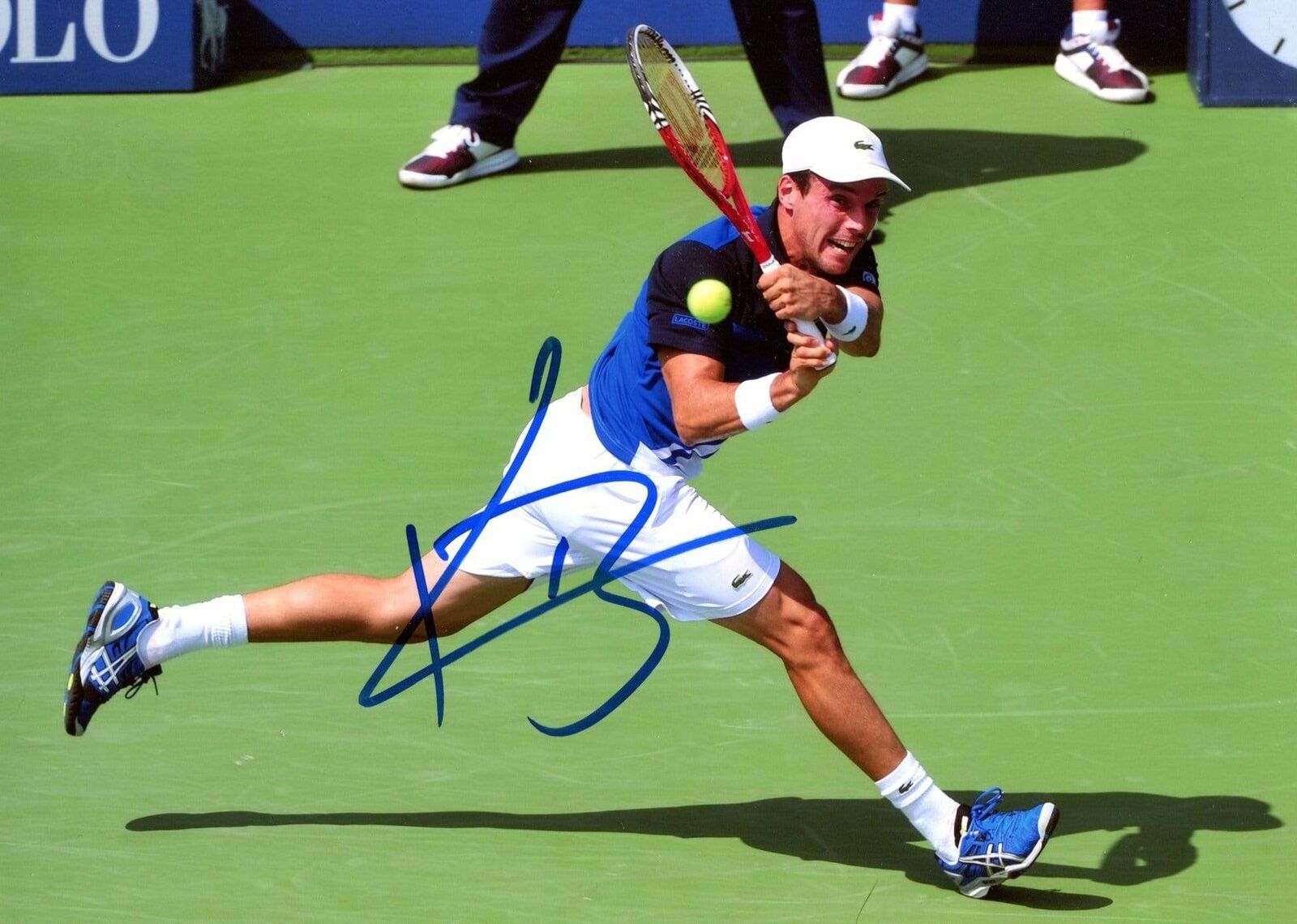 Roberto Bautista Agut TENNIS PLAYER autograph, In-Person signed Photo Poster painting