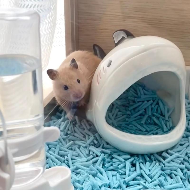 BZPET small wonders