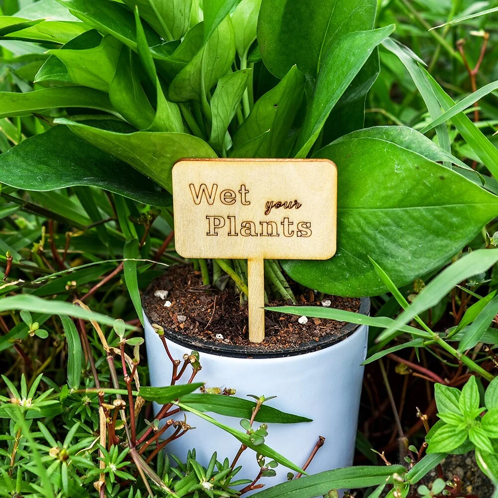 Wooden Garden Plant Labels Bamboo T-type Sign Tags Markers Pots Decoration Garden Markers For Seed Potted Herbs Flowers Tools