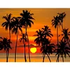Kokospalmen am Meer - Rundbohrer Diamantmalerei - 40*30cm