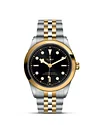 Tudor Black Bay 41 S&G