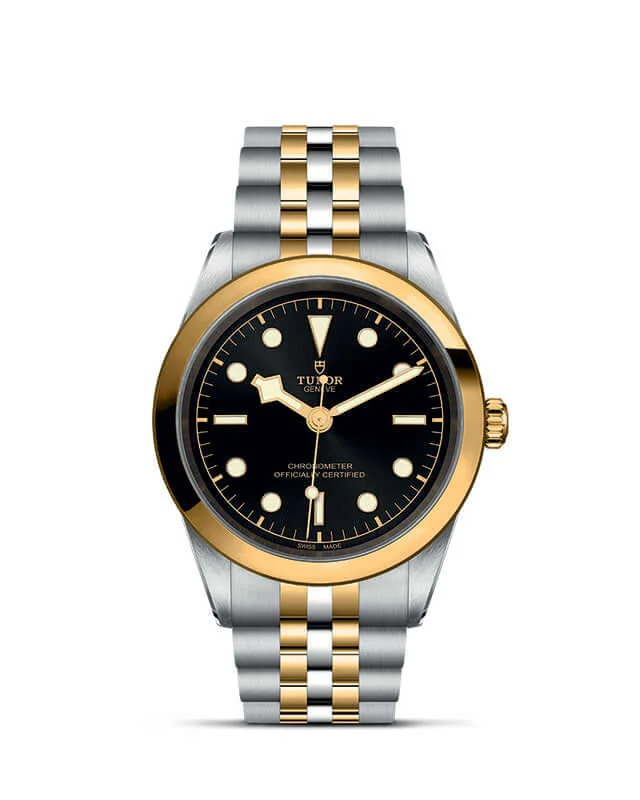 Tudor Black Bay 41 S&G