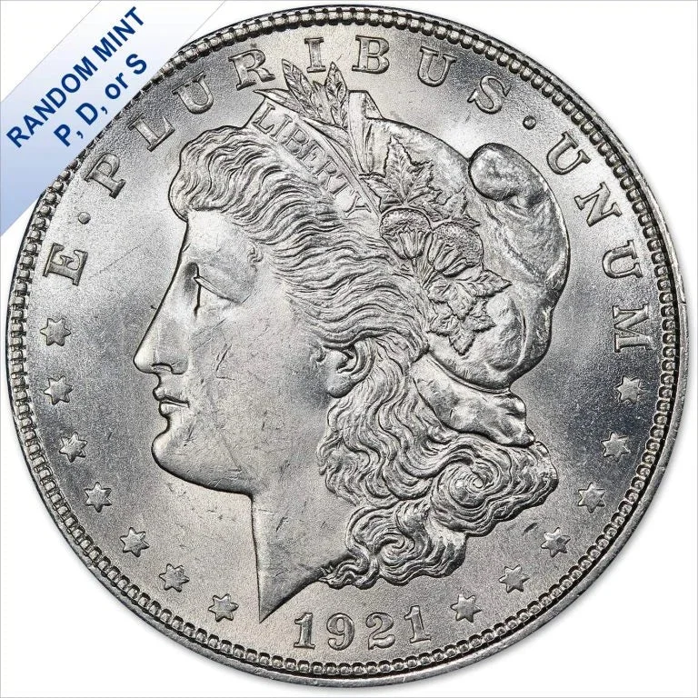 1921-1922 Morgan Silver Dollar and Peace Dollar Set &ndash; 2PC