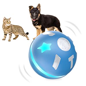 wicked ball for dogs