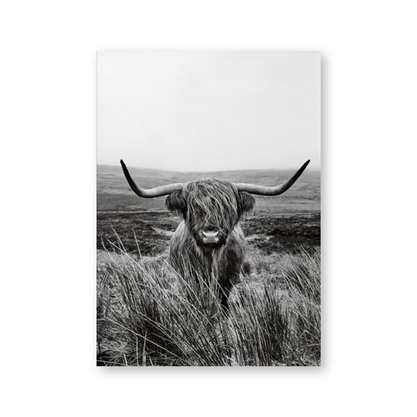 Highland Cow Print and Poster , Farm Animal Wall Art Scottish Cow Canvas Painting Black White Pictures Farmhouse Kitchen Decor