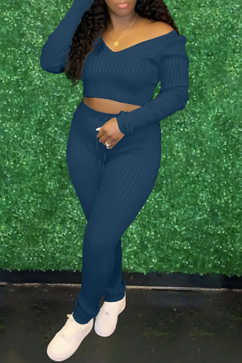 Blue Fashion Casual Solid Basic V Neck Long Sleeve Two Pieces