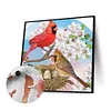 uk.everydayedeals (Limited Stock)Paint By Number - Oil Painting -  Cardinals (40*40Cm)