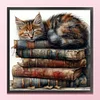 (US Only)Cat Printed Cross Stitch Kit 40x40cm DIY 11CT Embroidery Craft Set Home Art