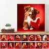 Love Dog Cat-Full Round Diamond Painting 30*30CM