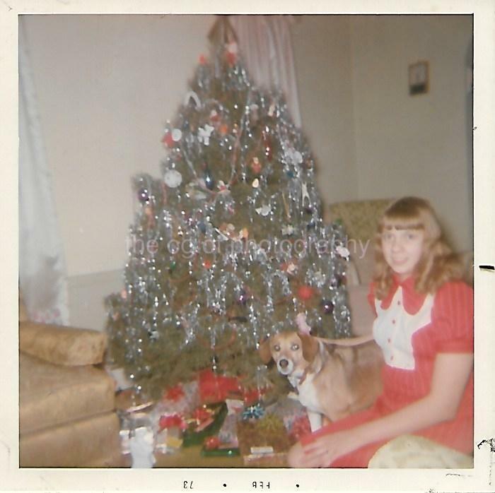 1970's CHRISTMAS GIRL Dog Tree FOUND Photo Poster painting ColorSnapshot 06 24