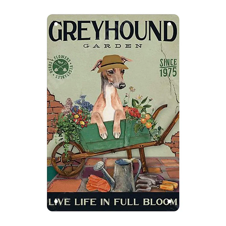 Grey Hound Garden - Vintage Tin Signs/Wooden Signs - 7.9x11.8in & 11.8x15.7in