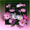 Flower | Full Round/square Diamond Painting Kits