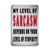 My Level Of Sarcasm Depends On Your Level Of Stupidity - Vintage Metal Signs(12*16Inch) - Warning